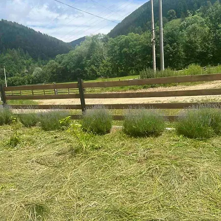 будинок в карпатах Apartment