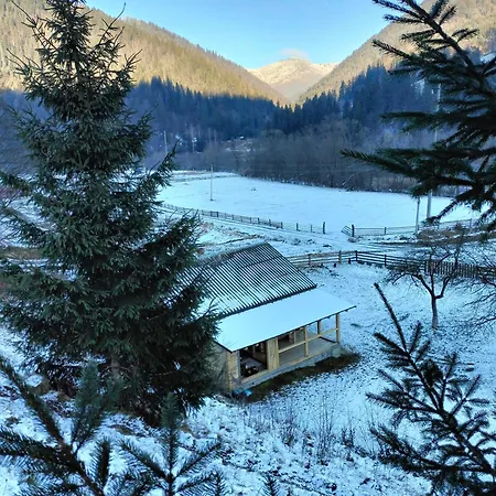 будинок в карпатах *