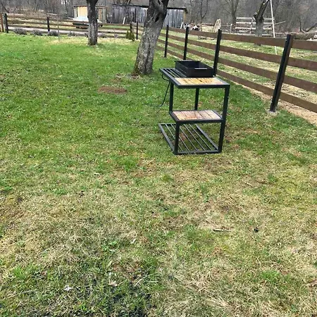 דירה будинок в карпатах