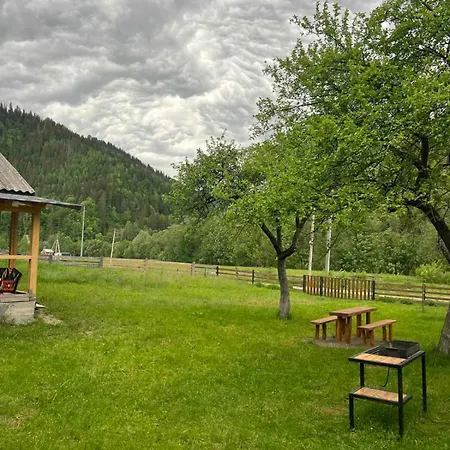 Apartment будинок в карпатах