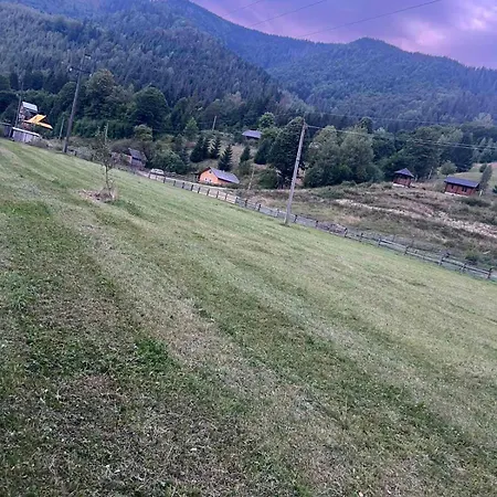 будинок в карпатах