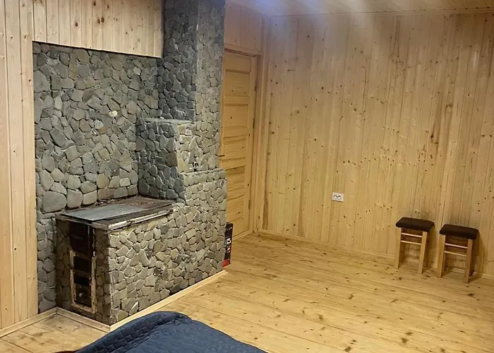 будинок в карпатах アパート *